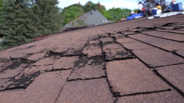 Reliable Genoa, IL Roofing Services Solutions