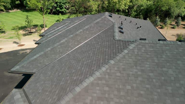 Best Metal Roofing Installation  in Genoa, IL