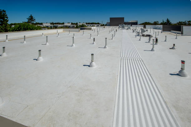 Best Gutter Installation and Repair  in Genoa, IL